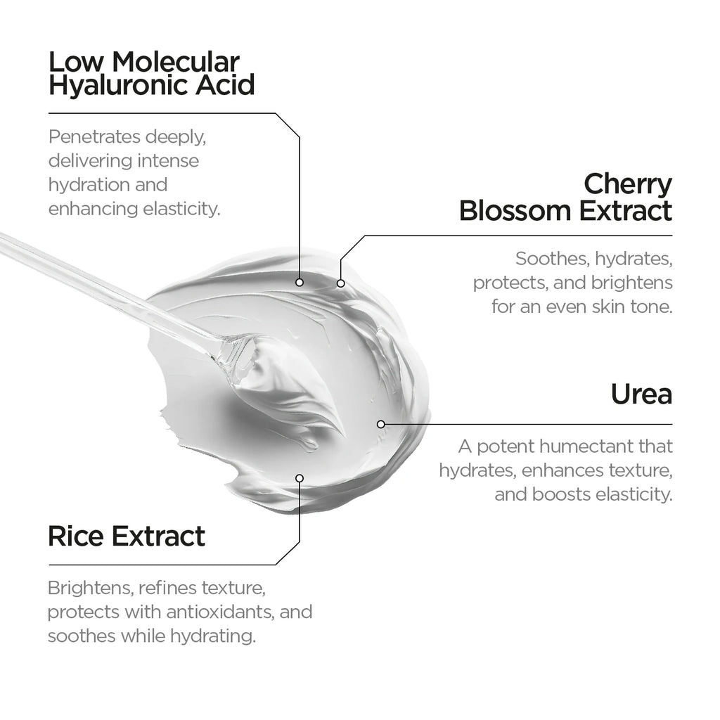 Face Cream Light Texture