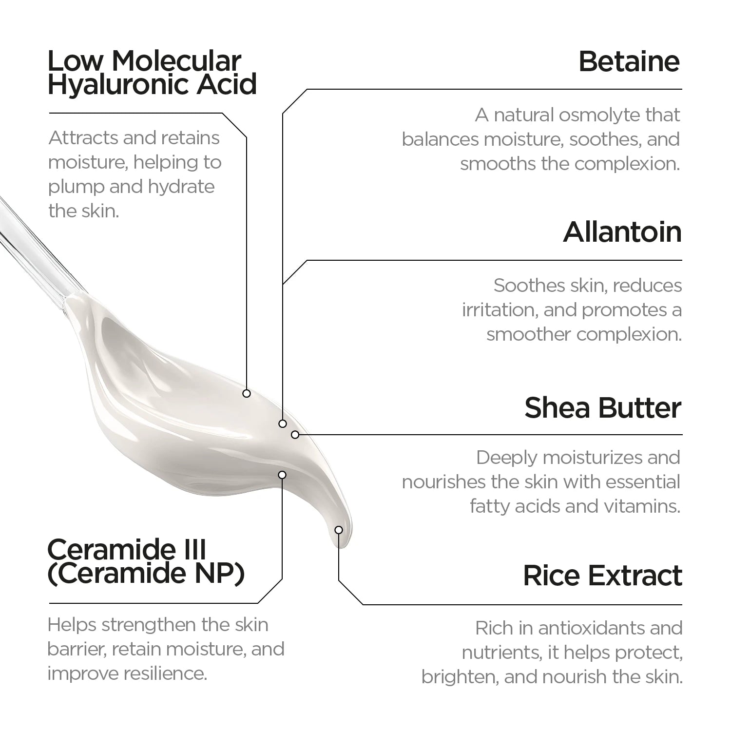 Biotic Regenerating Filling Balm