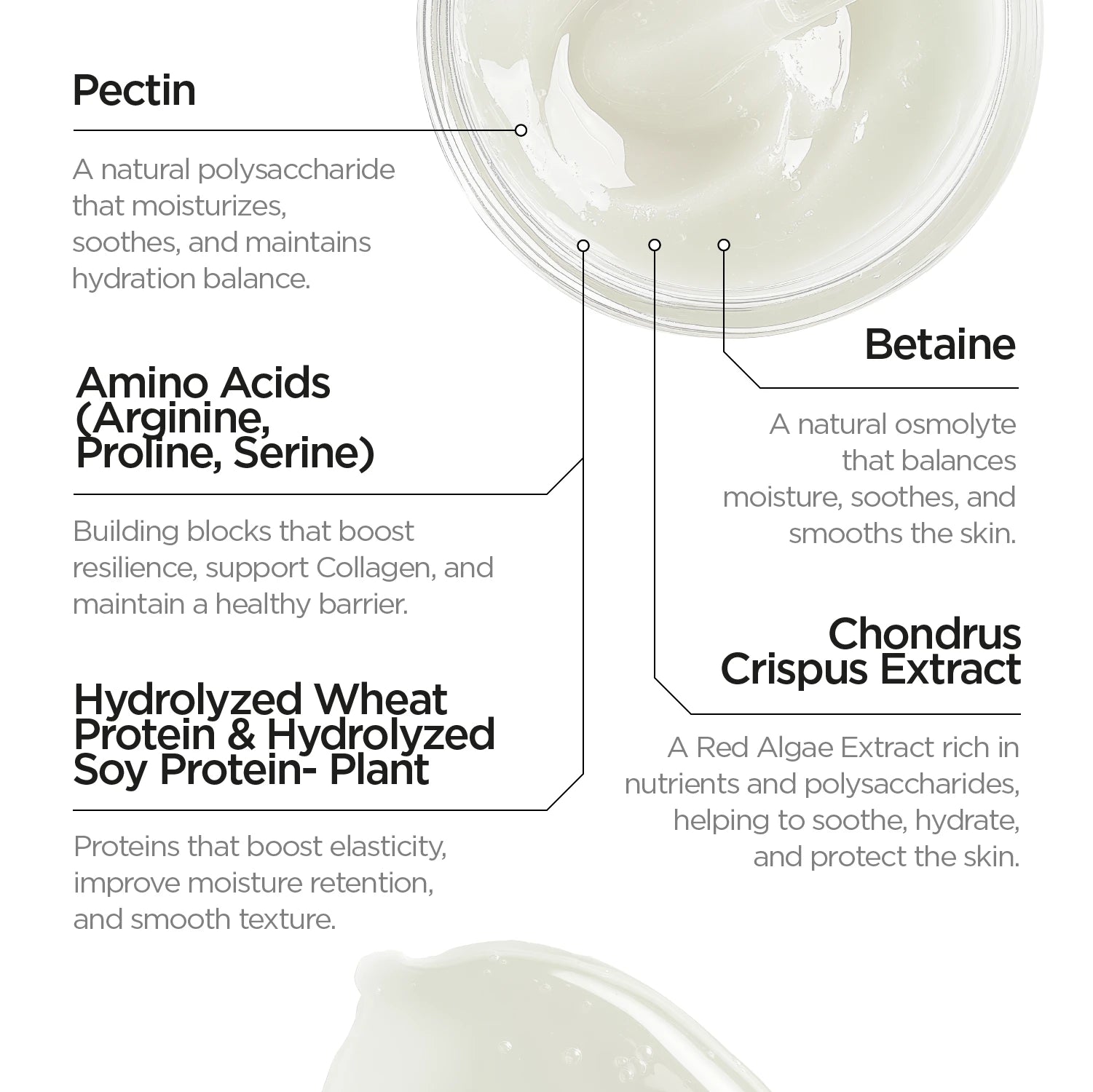 Biotic Rehidrating Plumping Jelly